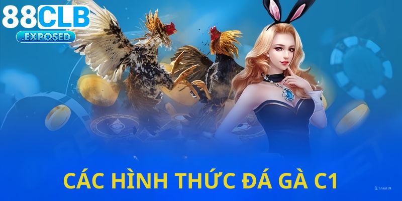 Những hình thức đá gà có mặt trong giải đấu này