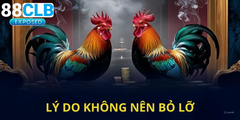 Những lý do mà bạn không nên bỏ lỡ giải đấu này