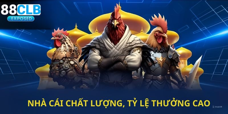 Nhà cái 88clb đứng đầu trong top nhà cái đá gà với tỷ lệ trả thưởng cao