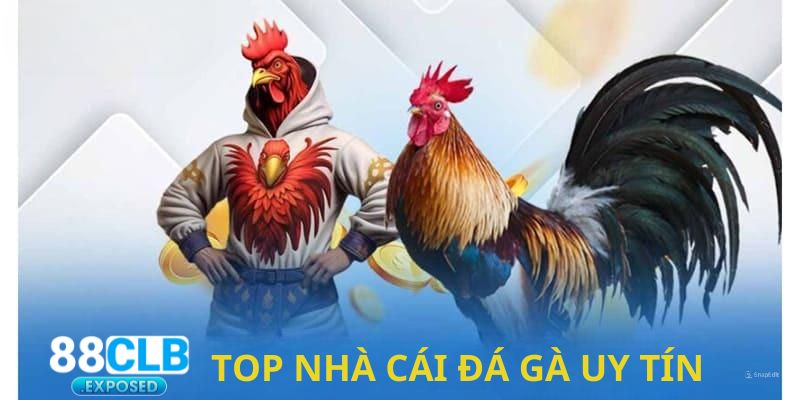 4 yếu tố cơ bản xác định top nhà cái đá gà